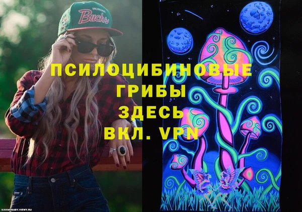 сатива Армянск