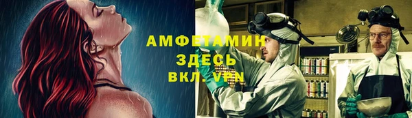 сатива Армянск