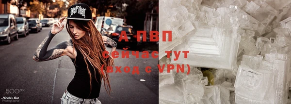 сатива Армянск