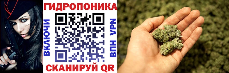 Каннабис гибрид Шумиха